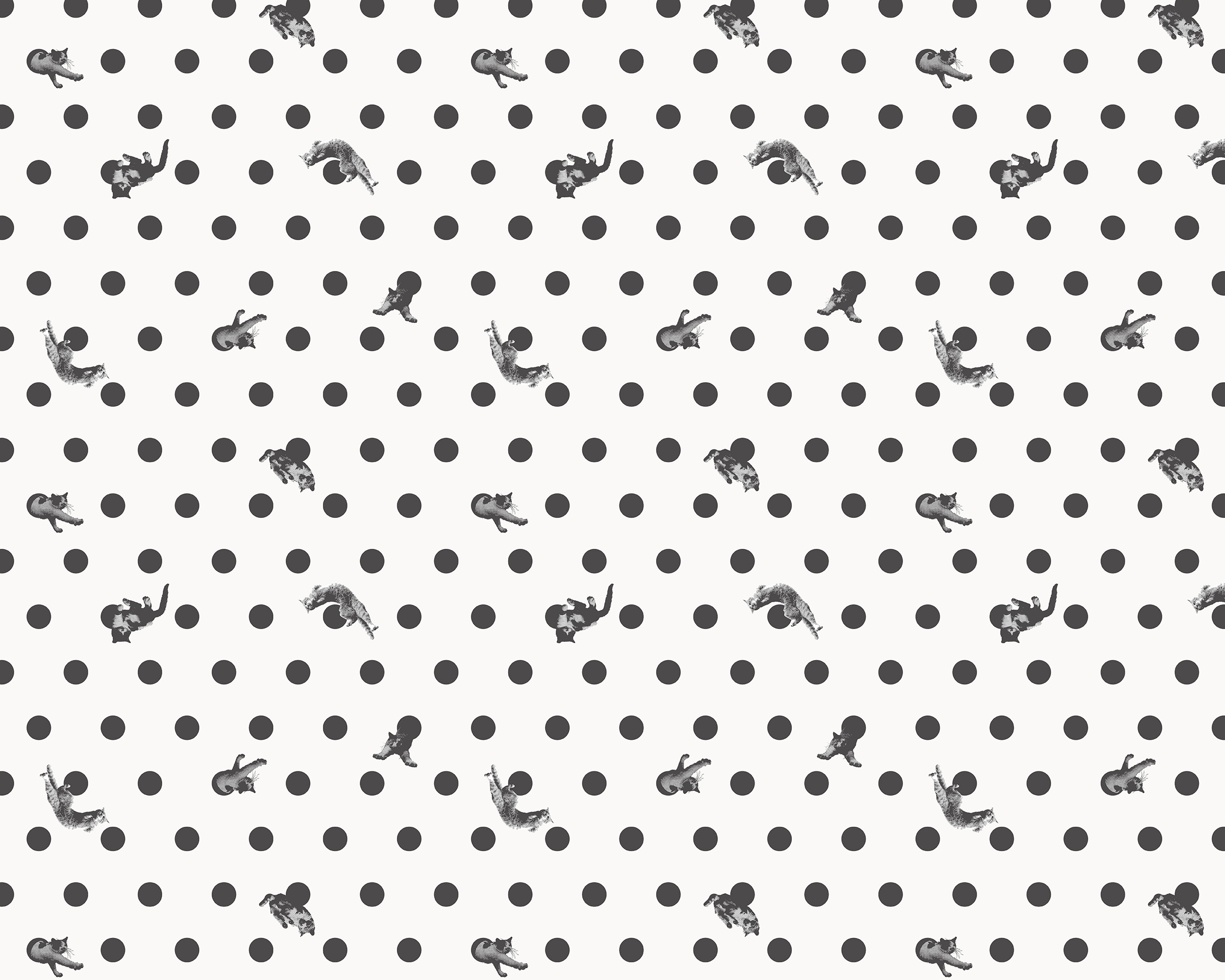 Masayuki Oki×Wpc.Patterns DOT OFF