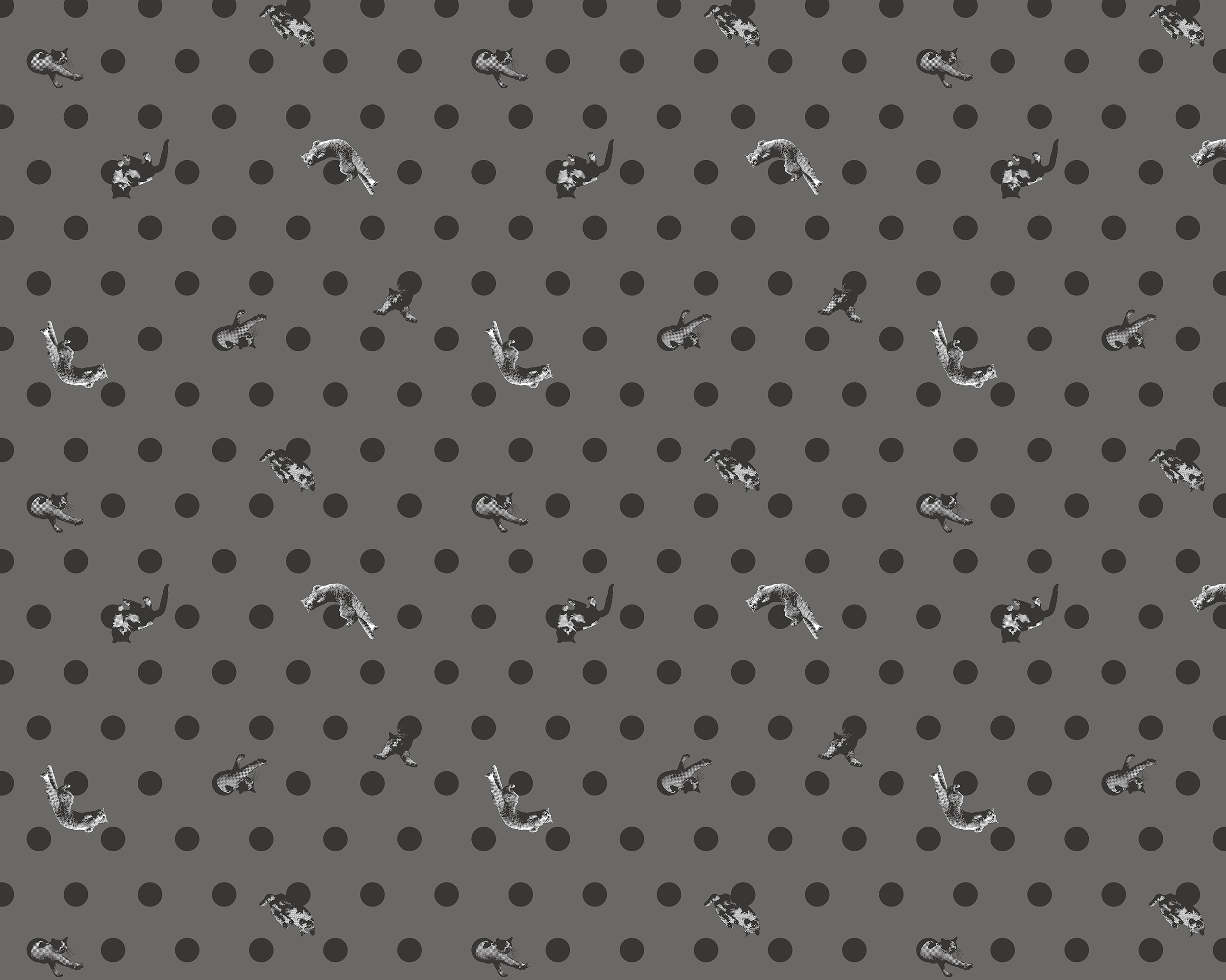 Masayuki Oki×Wpc.Patterns DOT GRAY