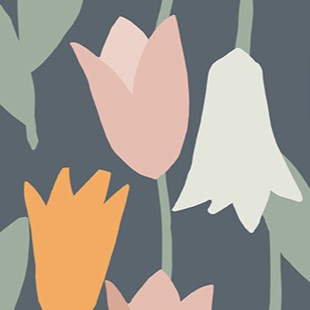 BLOOMING TULIP