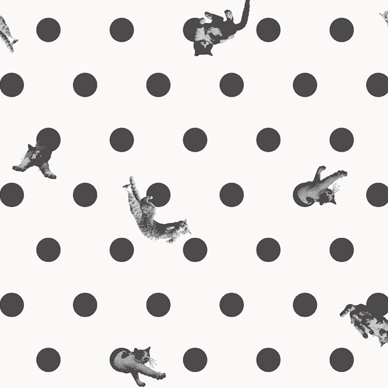 Masayuki Oki×Wpc.Patterns DOT