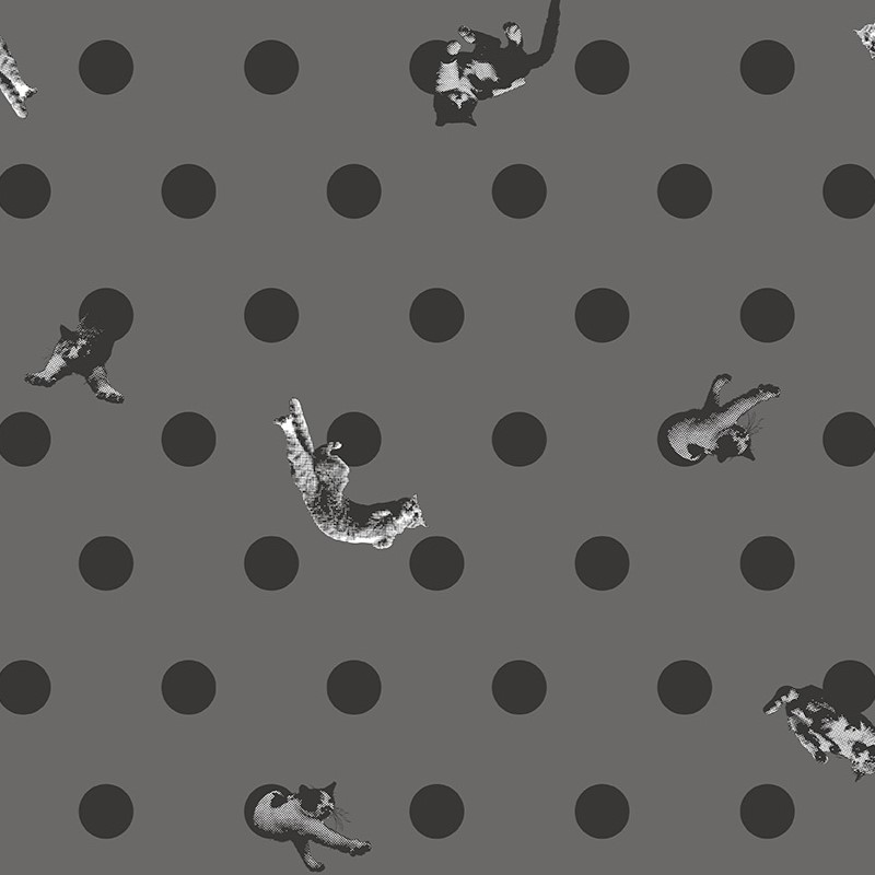 Masayuki Oki×Wpc.Patterns DOT